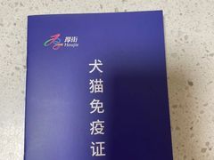 -千城康桥宠物医院·猫科·骨科·心脏