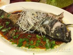 -上海万豪虹桥大酒店·宴会厅