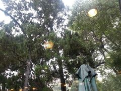 android_upload_pic-申粤轩酒楼·三十年粤菜经典(丁香花园店)