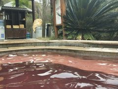 -咸宁万豪温泉谷度假区