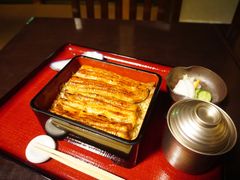 -料亭菊水楼