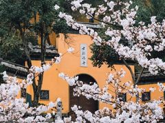 -南京城墙景区