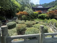 -十八棵（老龙井）御茶园(老龙井店)