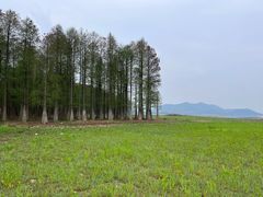 -四明湖