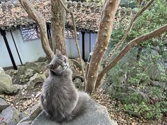 -西园戒幢律寺