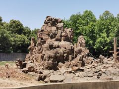 -合肥野生动物园