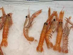 -禾斗海鲜自助(市南银座店)