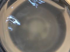 藕糕-没牙伯花生汤店(老药洲店)
