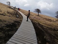 -芦芽山旅游度假区
