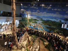 -自贡恐龙博物馆