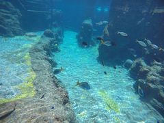 -新加坡水上探险乐园