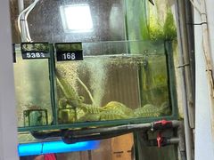 -凤城礼记鱼翅海鲜酒家(新马路总店)