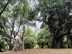 -晓港公园