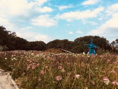 -广州市流溪河国家森林公园