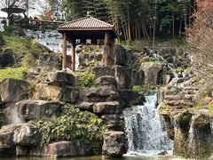 -秀丽东方