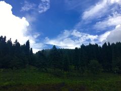 -武陵山森林公园