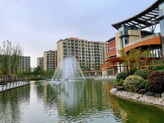 -梧桐人家中国太平国际健康颐养社区