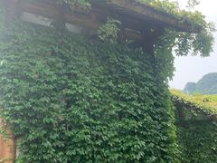 -广悦华阳朔河畔度假酒店(十里画廊遇龙河店)