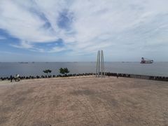 -上海滨江森林公园