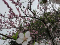 -白塘生态植物园