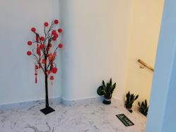 -海涛医疗美容·面部抗衰·注射美鼻