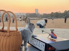 -爱侣宠医·鹦鹉专科·小型哺乳类·异宠专科(灵石路店)