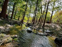 -白水寺森林公园