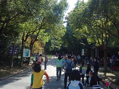 -吴淞炮台湾湿地森林公园烧烤区