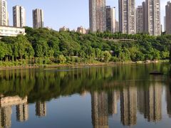 -重庆彩云湖湿地公园
