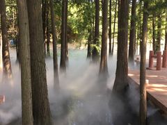 -东湖落雁景区