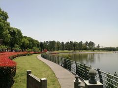 -美兰湖景区