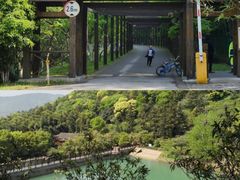 -九龙潭景区