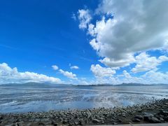 -深圳湾公园(南山区)