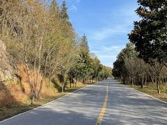 -南京市无想山景区