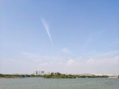 -贡湖湾湿地公园
