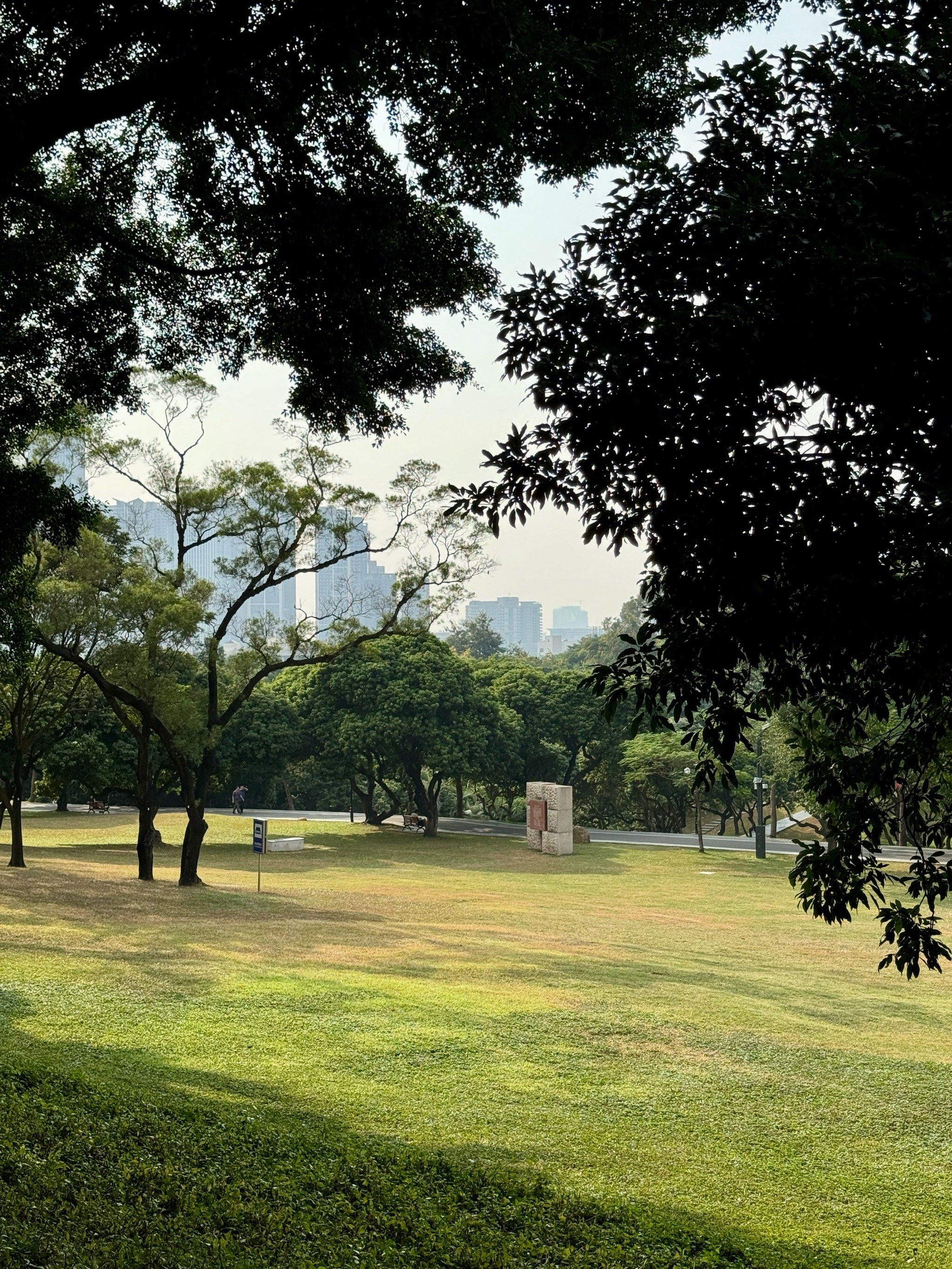 中山公园悠闲好风光～🖼️