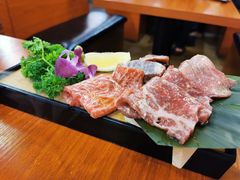 -大阪烧肉BAKA一代(十亩地店)