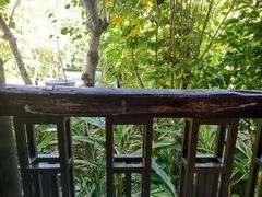 -广州从化都喜泰丽度假酒店温泉