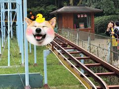 -杭州少年儿童公园