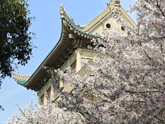 -武汉大学-樱园