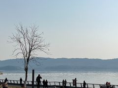-岳阳市博物馆
