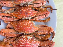 -秋姐美食店 始于2014年(旅游大道店)