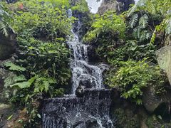 -海口火山口国家地质公园