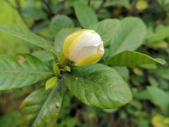 -芒洲湿地公园