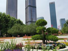 -大望京公园