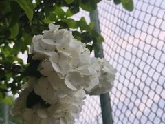 -杭州城北体育公园