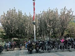 -百荣世贸商城