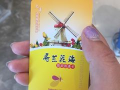 -荷兰花海