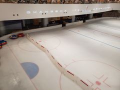 -TheRink大零溜冰场(IFS国金中心店)