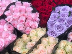 -双季花艺园艺市场(浦东店)